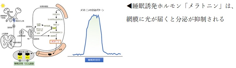 健康日本21アクション