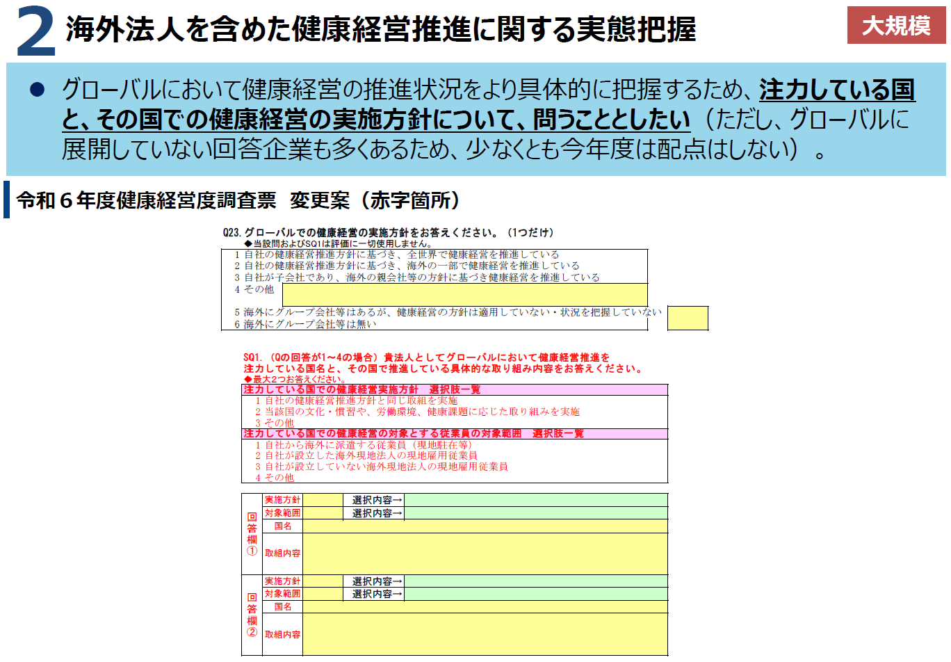 海外法人を含めた健康経営推進に関する実態把握