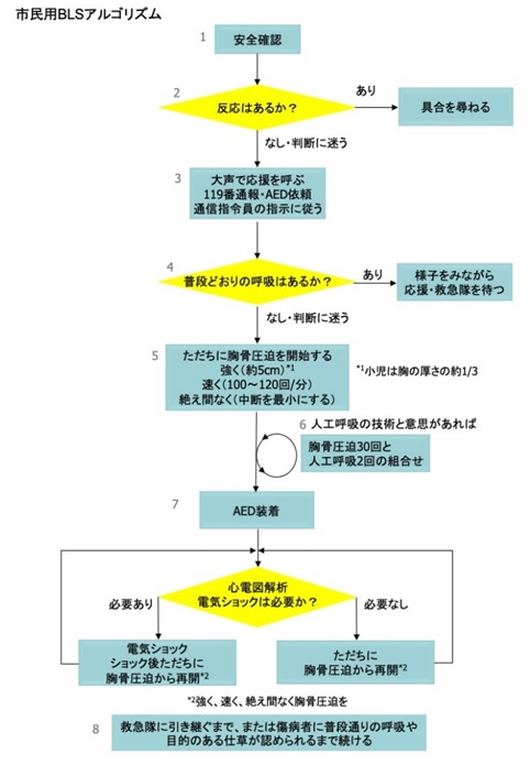 市民用BLSアルゴリズム