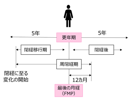 女性の閉経移行期間